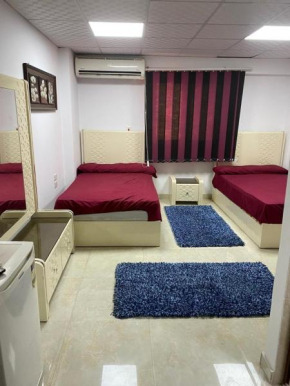 Elegant Furnished 1 Bedroom apartment in Giza